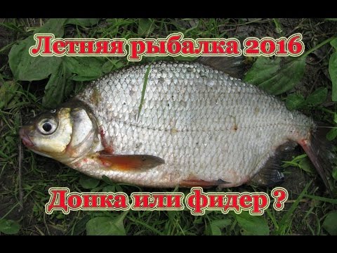 на что клюет густера в июне на что клюет густера в июне