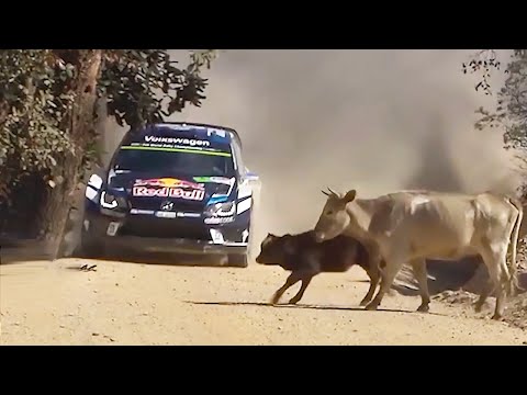 20 FUNNIEST RALLY MOMENTS