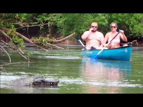 Remote Controlled Alligator Prank 2018 Boat Cops Called 