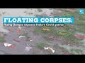 Floating corpses: Rising Ganges exposes India's Covid graves