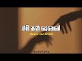 Himi Nathi Senehe ( හිමි නැති සෙනෙහේ ) - Asanka Priyamantha (Slowed and reverb)