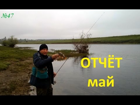 прогноз клева в южноукраинске прогноз клева в южноукраинске