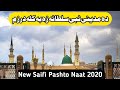 New Saifi Pashto Naat 2020 || Madina || Saifi Naat Tube