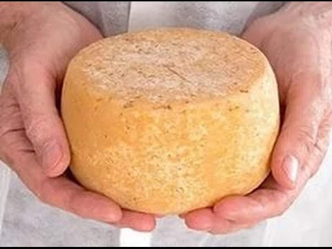 Как сделать твердый сыр в домашних условиях Как сделать твердый сыр в домашних условиях
