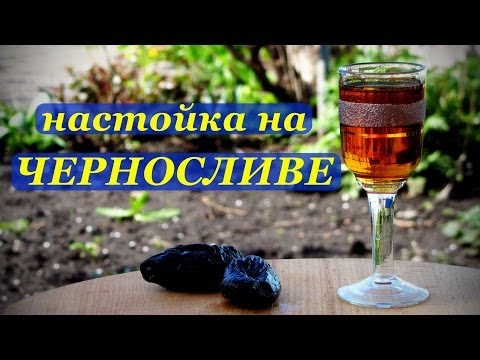 Как настоять спирт на черносливе рецепт Как настоять спирт на черносливе рецепт