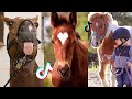 Funny Equestrian Life - Equestrian TikTok Compilation #43