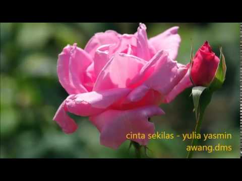 Download cinta sekilas - yulia yasmin - Pop Mandarin Indonesia free