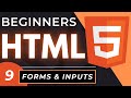 HTML Forms and Inputs | HTML5 Tutorial for Beginners