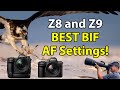 Nikon Z8 & Z9: BEST Bird-In-Flight Autofocus Settings