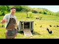 How to Get Started with Chickens: Everything you need to know
