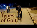 TYPES OF GAIT