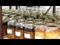 Making Extracts: Behind The Scenes At Mountain Rose Herbs