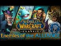 "Why Do I Want Them Dead?" Enemies of the Alliance