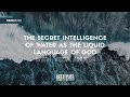 The Secret Intelligence of Water as The Liquid Language of God w/ Veda Austin #410