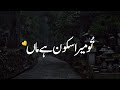 Pakistani Drama Aulad Ost Status | Tere Bina Maa Kuch Bhi Nahi Hai | Maddy Hattar