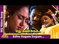 Edhu Sugam Sugam Video Song | Vandicholai Chinraasu Songs | Sathyaraj | Sivaranjani | A R Rahman