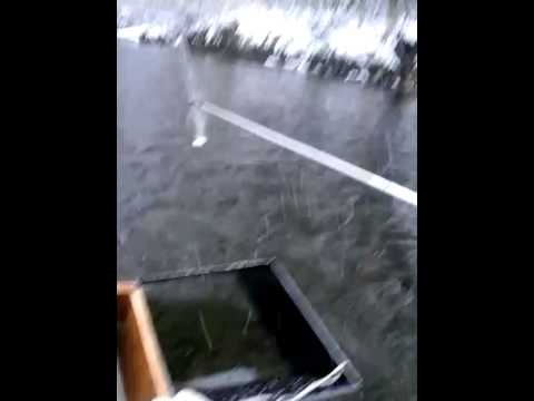 экран для ловли хариуса экран для ловли хариуса