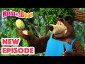 Masha and the Bear 2024 🎬 NEW EPISODE! 🎬 Best cartoon collection 🥔 Soup Pursuit 🥕🍲