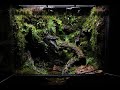 A Small Puddle In A Humid Jungle Dart Frog Paludarium