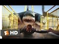 Download 3 Headed Shark Attack (6/10) Movie CLIP - All Aboard for Dinner (2015) HD mp4 3gp mp3 videos - waplic