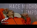 Ele A El Dominio - Hace Mucho Tiempo 🕰❤️(Video Oficial)