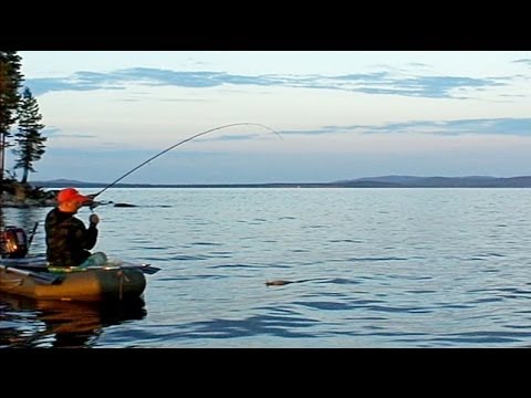 рыбалка в карелии на белом море форум рыбалка в карелии на белом море форум