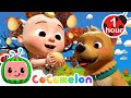 JJ's Egg Catching Adventure! + More CoComelon Nursery Rhymes & Kids Songs | CoComelon Toy Play