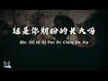 ZQS - Zhe Shi Ni Qi Pan De Chang Da Ma (这是你期盼的长大吗) Lyrics 歌词 Pinyin/English Translation (動態歌詞)