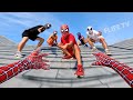 Am I a Member of PRO 5 SPIDER-MAN Team ??? ( Top 3 Best Action POV Video )