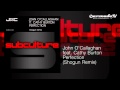 John O'Callaghan feat. Cathy Burton - Perfection (Shogun Remix)