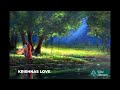 KRISHNAS LOVE  - INDIAN FLUTE MEDITATION