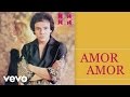 José José - Amor, Amor (Cover Audio)