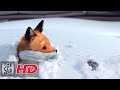 CGI **Award Winning** 3D Animated Short: "A Fox And A Mouse" - by ESMA | TheCGBros