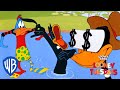 Looney Tuesdays | In the World of Daffy Duck | Looney Tunes | WB Kids