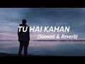 TU HAI KAHAN - Perfectly SLOWED with LYRICS ।