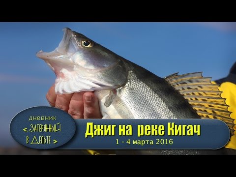 рыбалка на ближней волге рыбалка на ближней волге