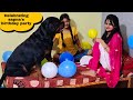 my dog jerry celebrating sapna's birthday party||funny dog videos.