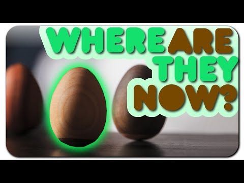Zen Egg Where are they NOW 