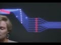 Doomsday Video - Peripheral Vision [Full Album 2024] Vaporwave - Classic Vaporwave