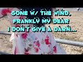 Gone with the wind.Frankly my dear I don’t give a Darn