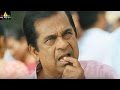 Brahmanandam Comedy Scenes Back to Back | Vol 1 | Telugu Movie Comedy | Sri Balaji Video
