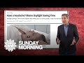 Why Daylight Saving Time is bad for you