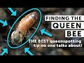 SPOT THE QUEEN BEE EVERY TIME: Secret to Finding the Queen EVERY Time