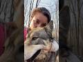 Rescuing A Wolf Dog l The Dodo