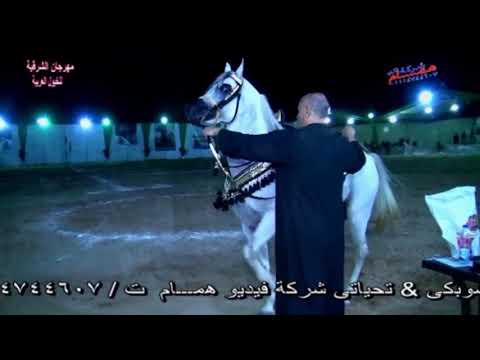رقص خيول عربية مهرجان الهيئة٢٠٠٨ الجزءالثاني_٠٣ - VidoEmo - Emotional Video  Unity