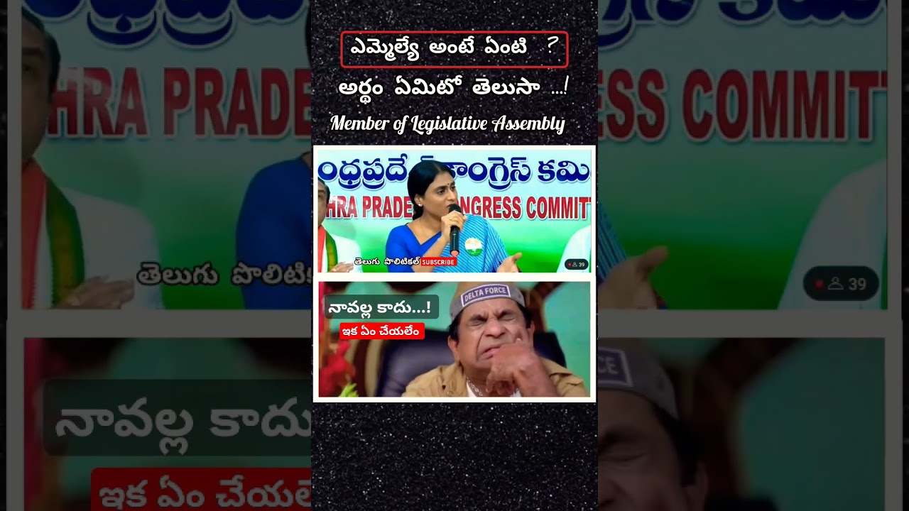 𝚈 𝚂 𝚂𝚑𝚊𝚛𝚖𝚒𝚕𝚊 | MLA అంటే ఏమిటి అర్థం తెలుసా 🤔😄 #yssharmila #shorts #ysjagan #chandrababu #apassembly
