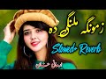 Zamonga Malangi Da Aw Da Khkulo Badshi Da Pashto New Song Slowed+Reverb Tik Tok Viral Song 2022