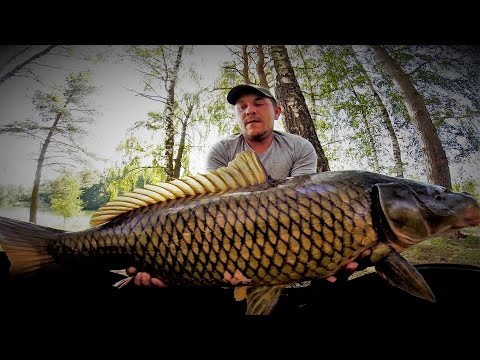карп весной пенза карп весной пенза