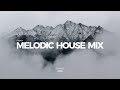 Melodic House Mix 2024 - EP05 | Lane 8, Ben Böhmer, Tinlicker, CamelPhat