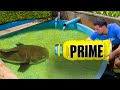 PRIME Bottle Catches Pond Monster